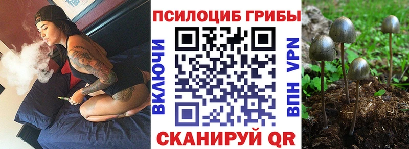 Галлюциногенные грибы GOLDEN TEACHER  Чёрмоз 